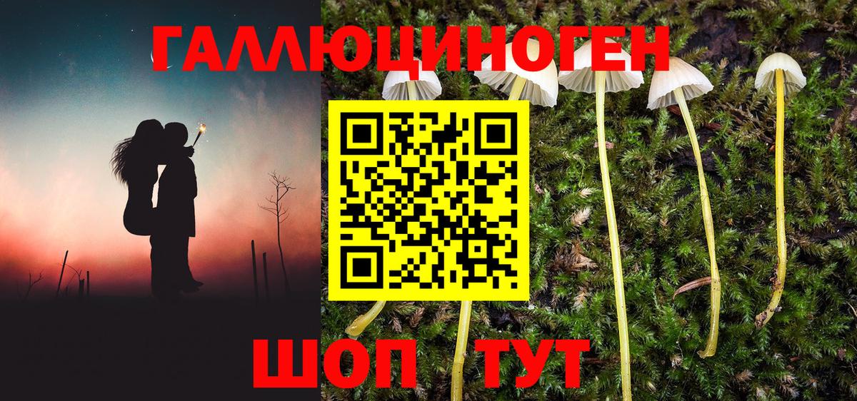 Псилоцибиновые грибы прущие грибы  Вход с VPN  Лангепас 